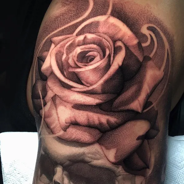 Flower, Rose