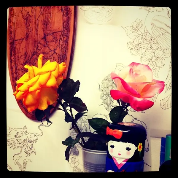 Flower, Rose