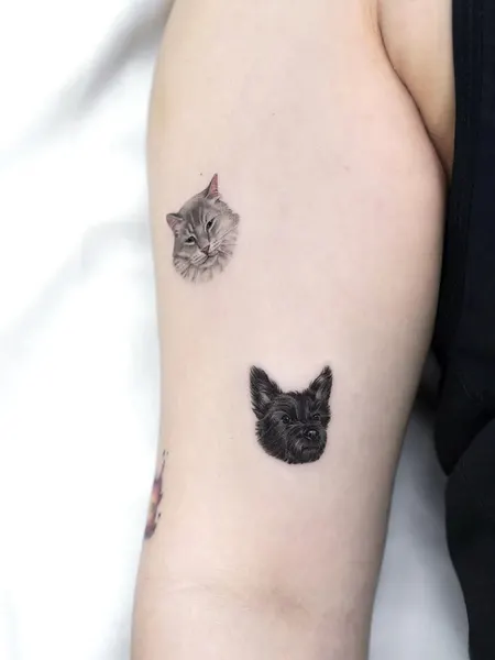 tatti_seoul