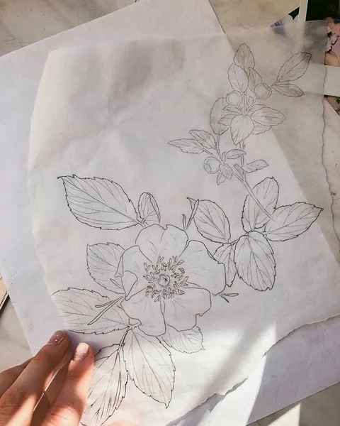Flower, Rose