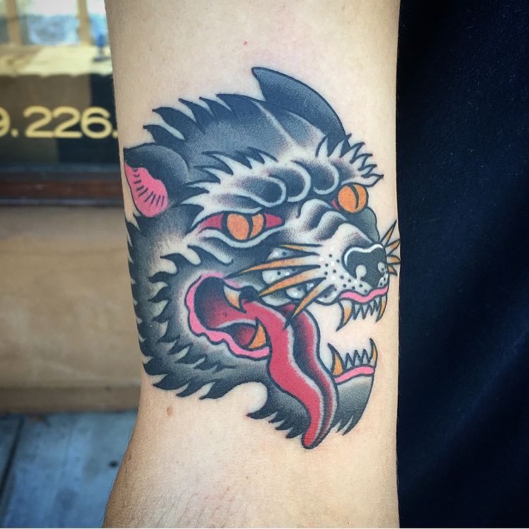 Tiger, Animal