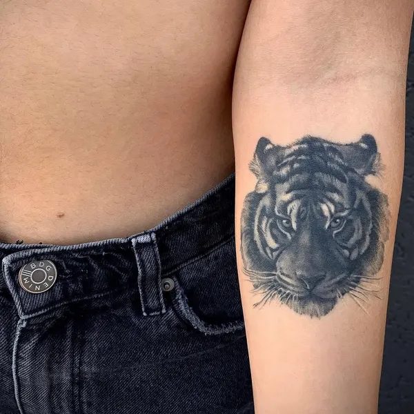 Tiger