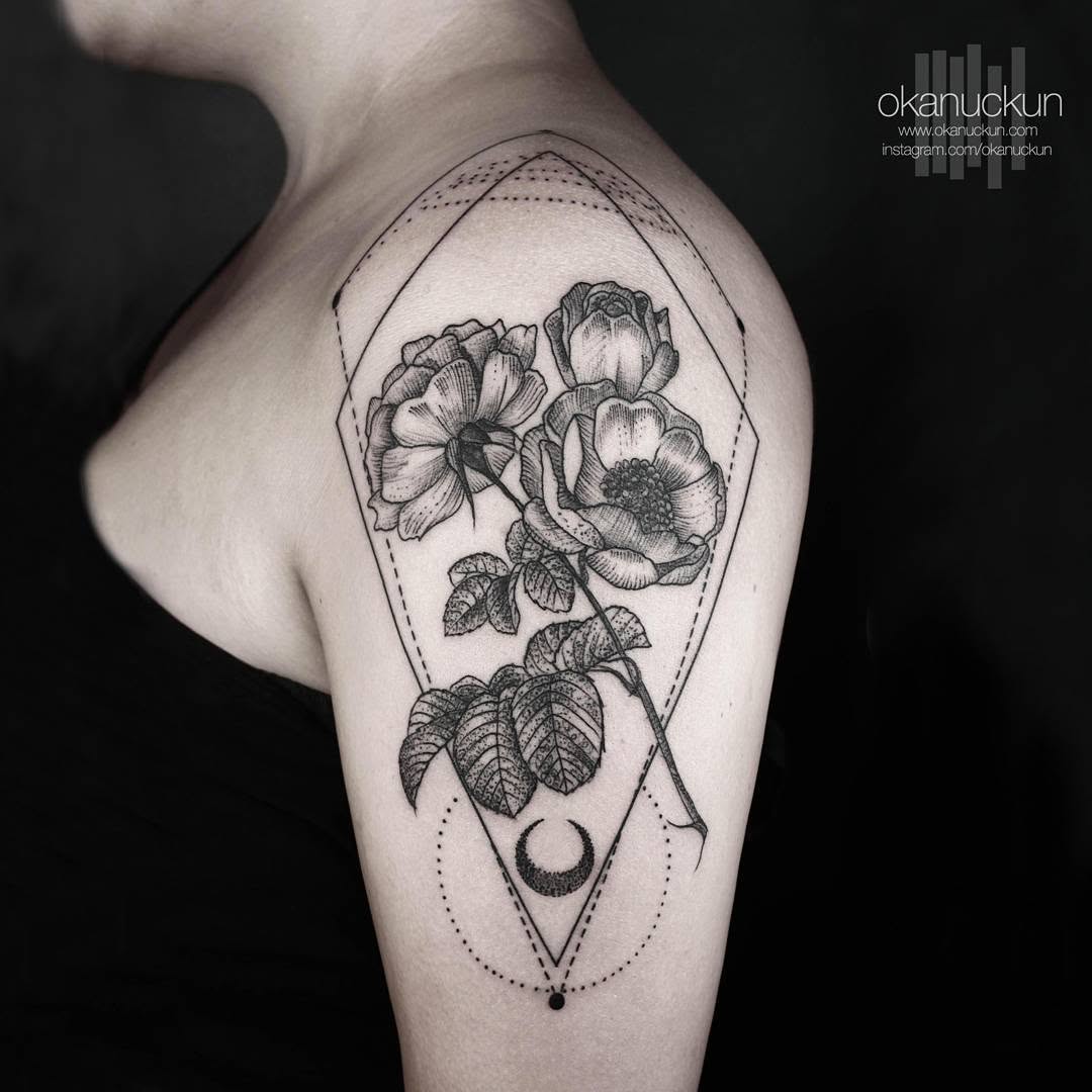 Flower, Rose, Nature