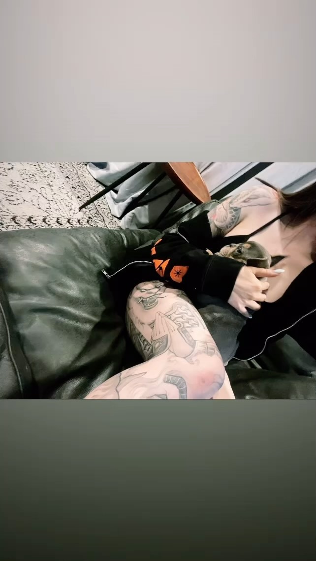 Animal