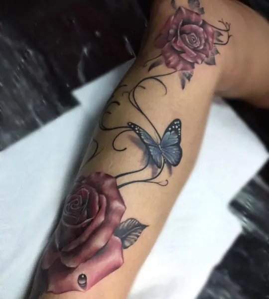 Flower, Animal, Nature, Rose