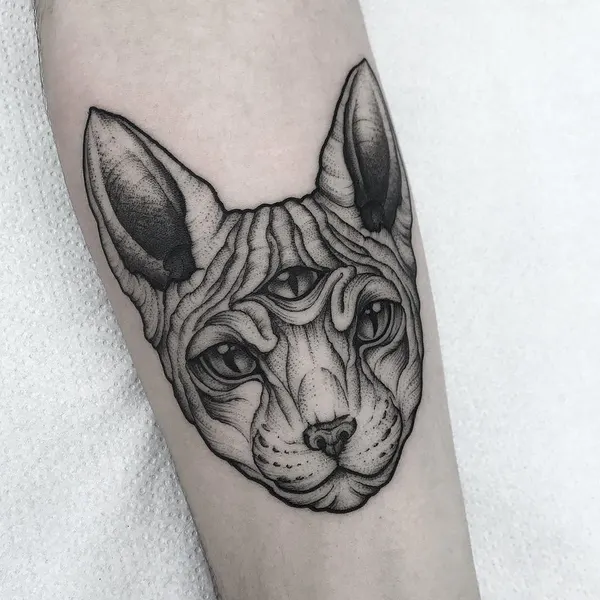 Animal