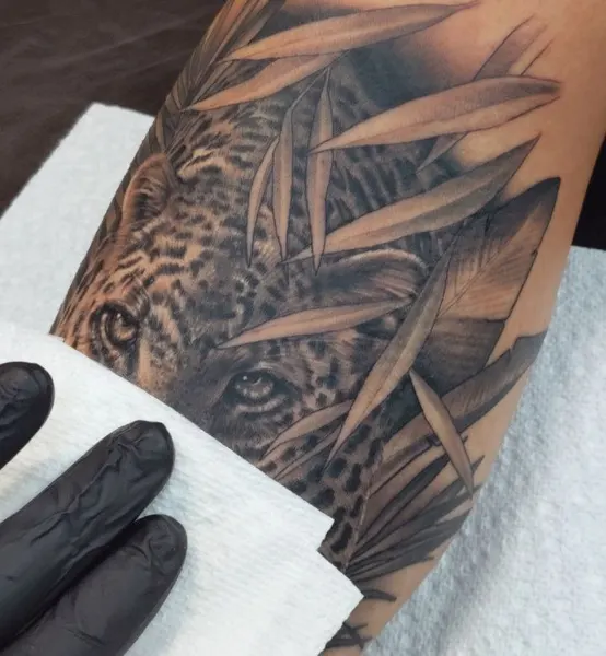 Tiger, Animal