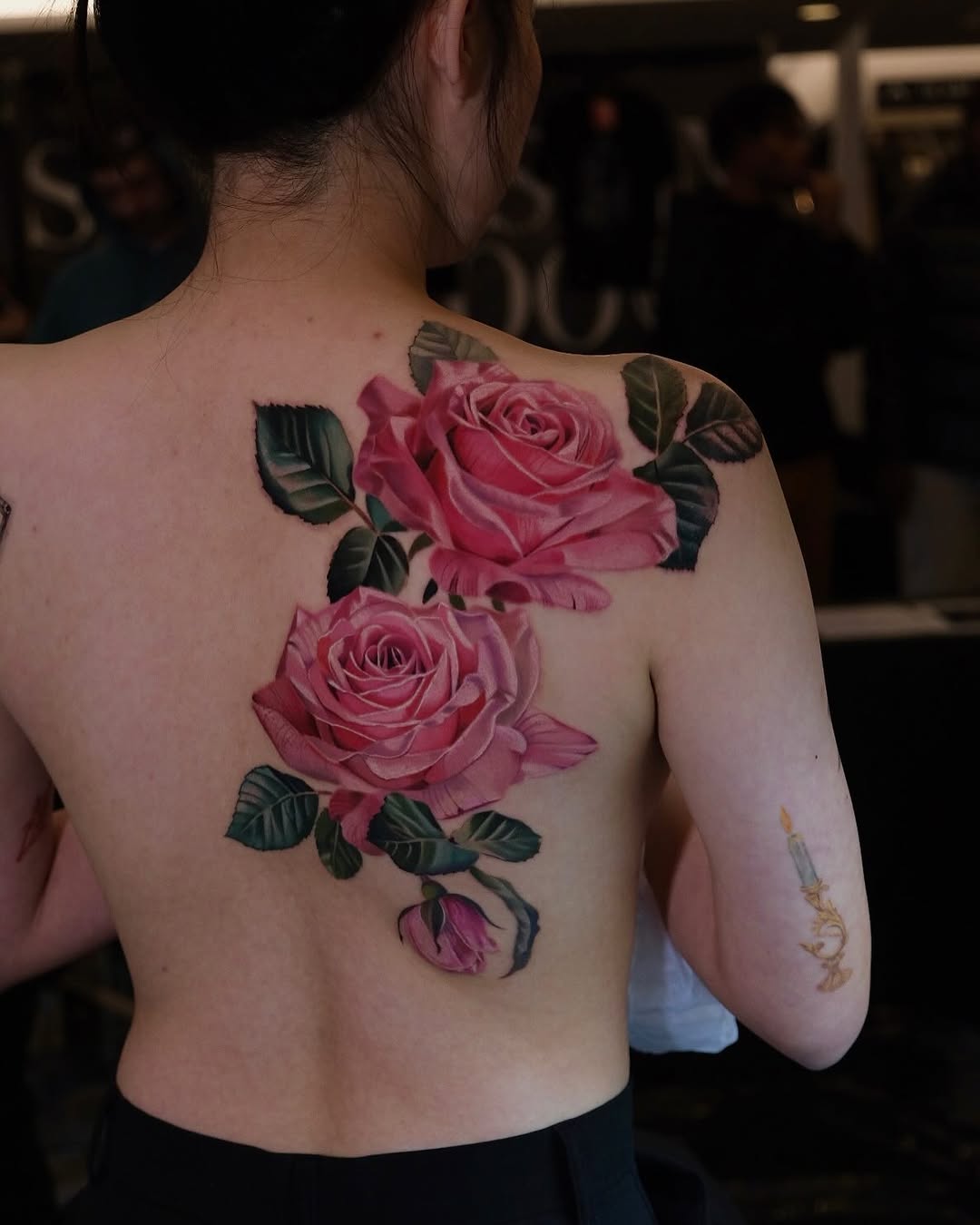 Rose, Nature, Flower
