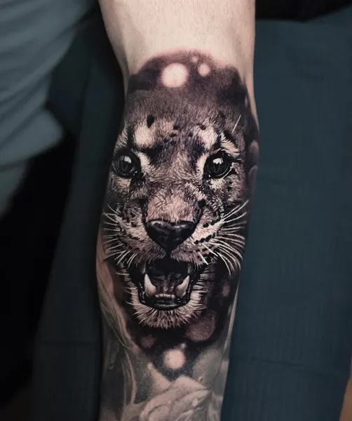 Tiger, Animal, 표범, 재규어