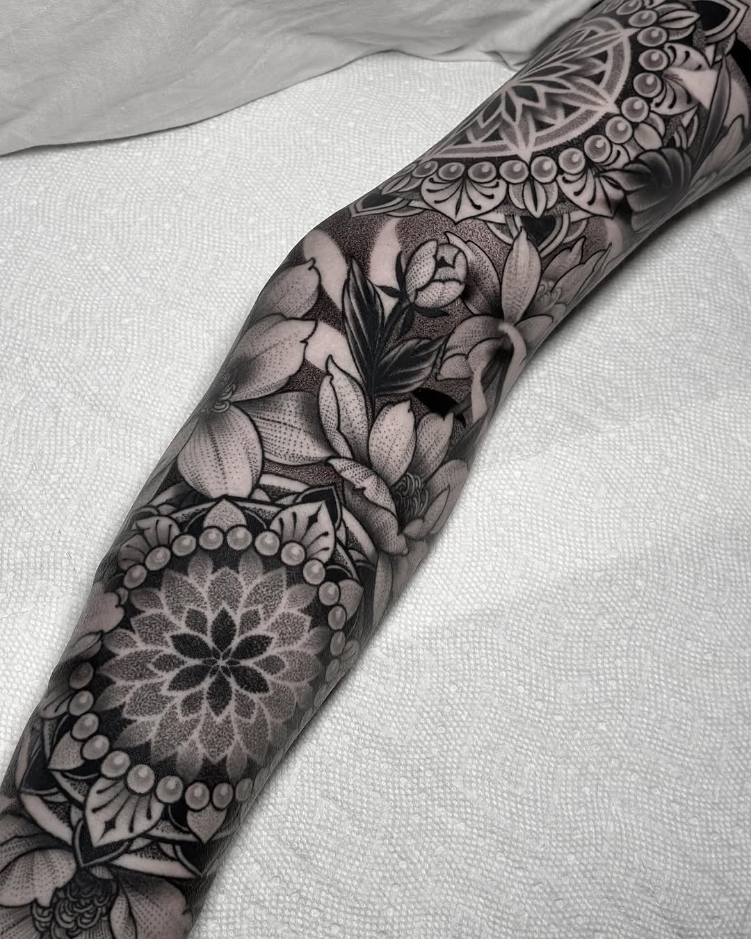 Flower, Rose, 슬리브, 풀슬리브