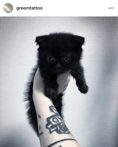 Animal