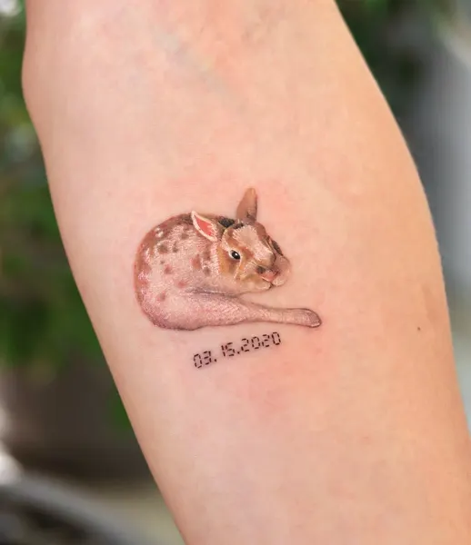 토끼, Animal