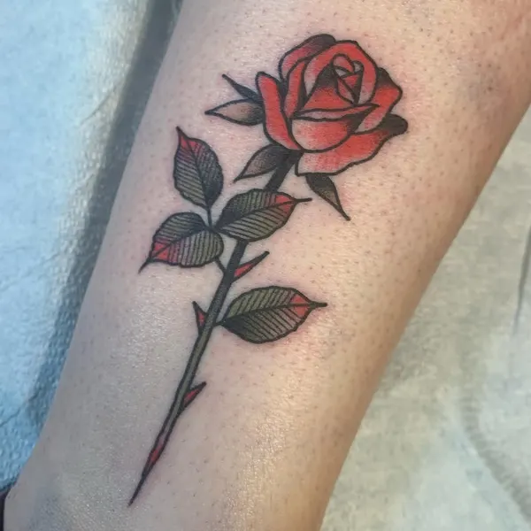 Flower, Rose, Nature