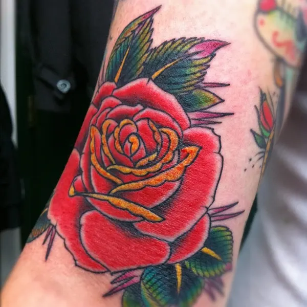 Flower, Rose