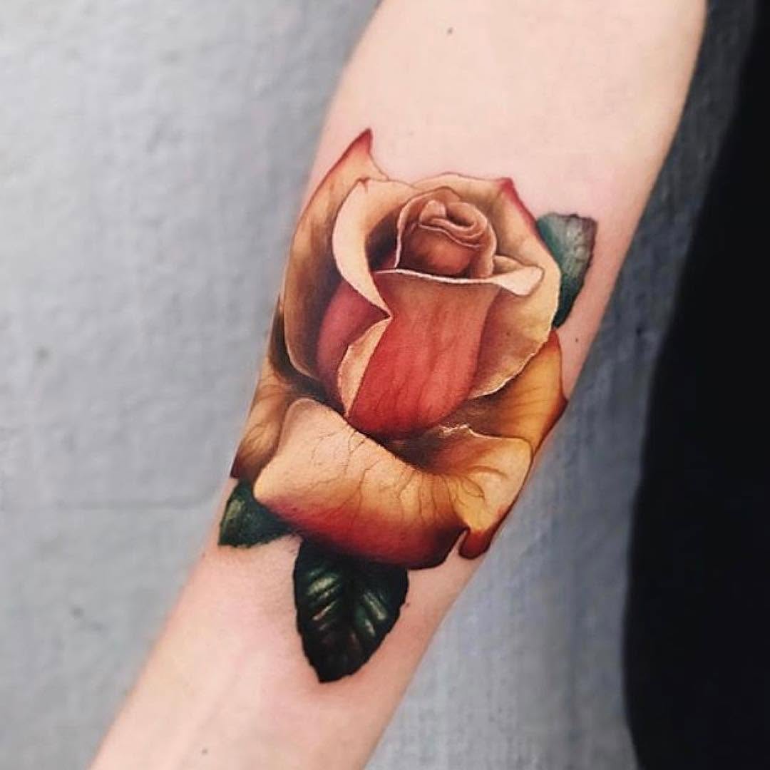 Flower, Rose, 목련