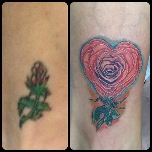 Flower, Rose