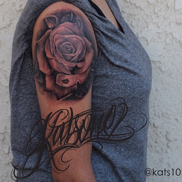 Flower, Nature, Rose