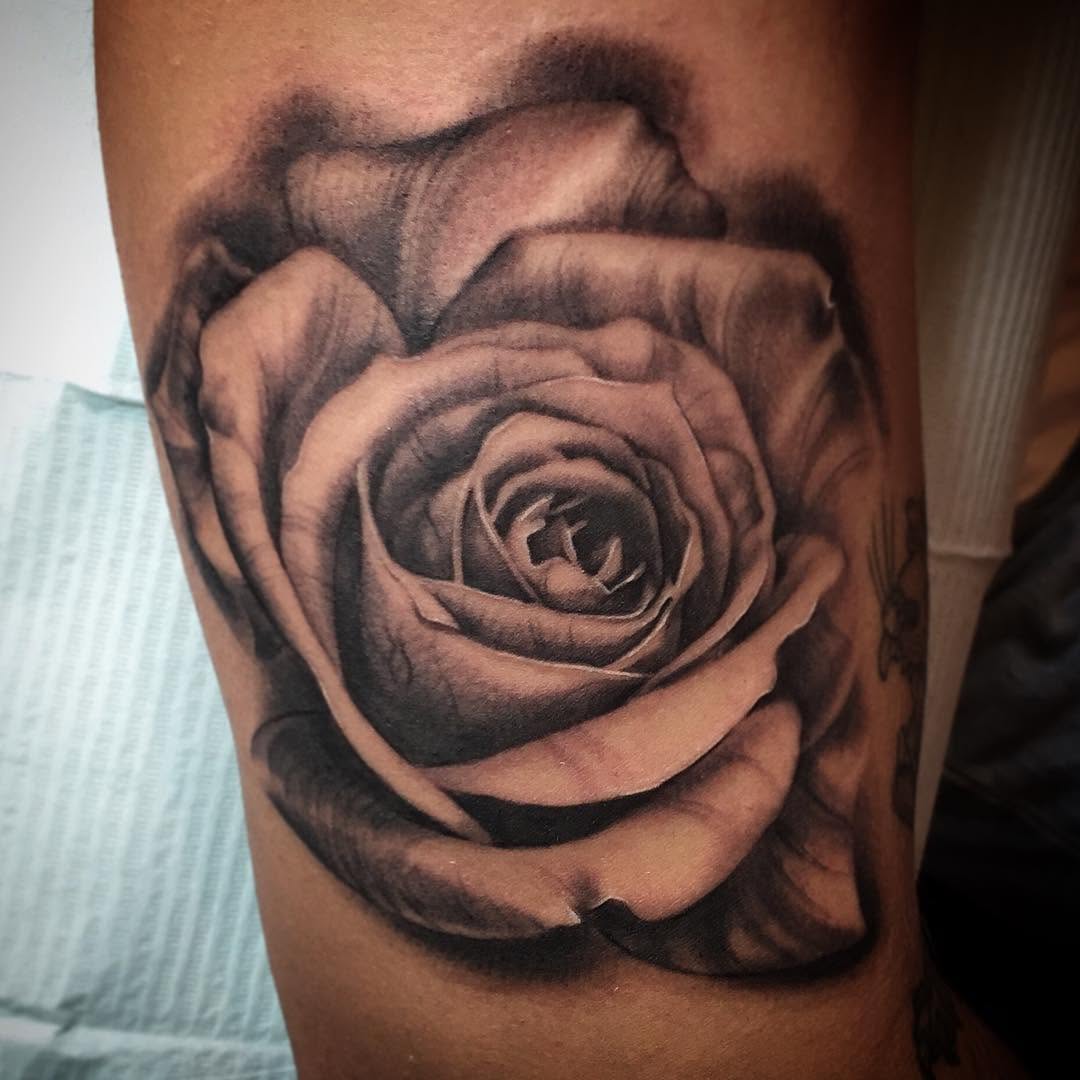 Flower, Rose