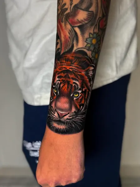 Tiger, 중국 호랑이, 치타, 한국 호랑이