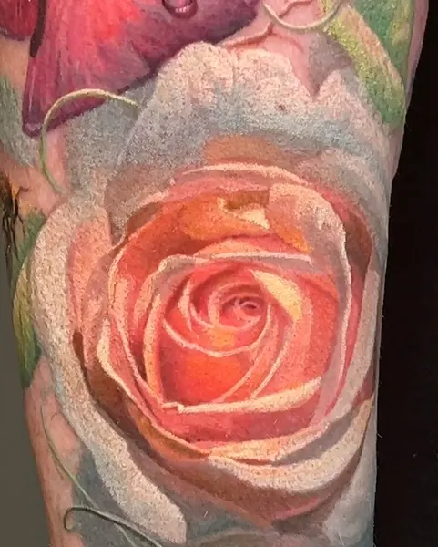 Flower, Rose, Nature