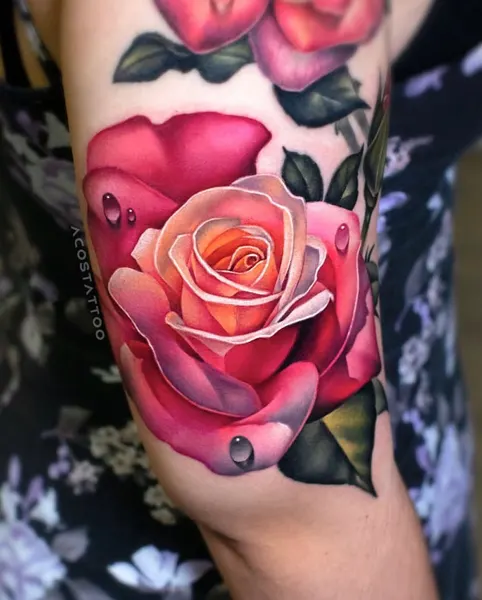 Flower, Rose