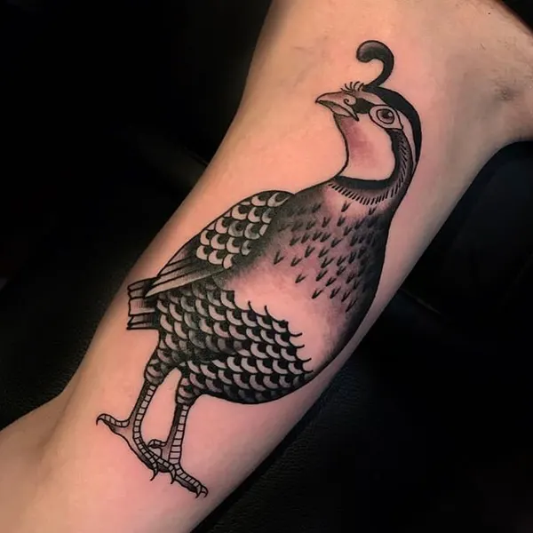 Flower, Animal, 수탉, 공작, 플라밍고, 일본 학