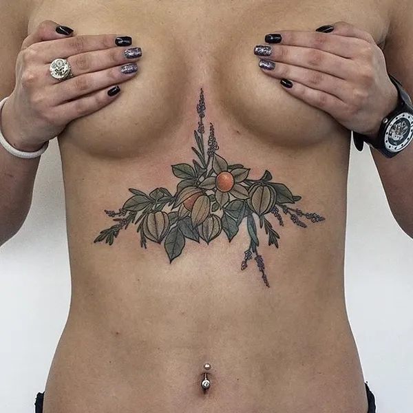 equilattera