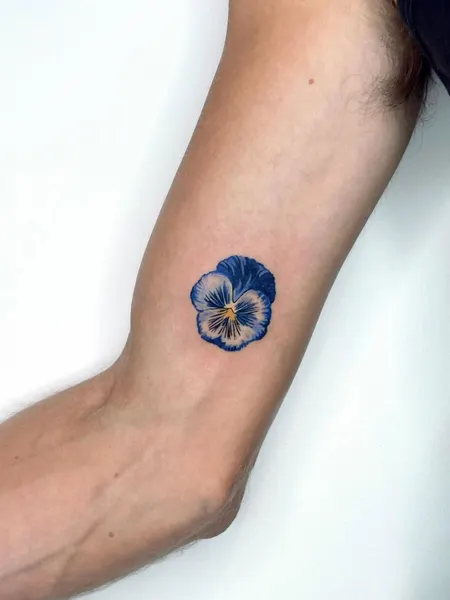 Flower, 아이리스, 수선화, 카네이션