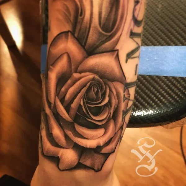 Flower, Rose