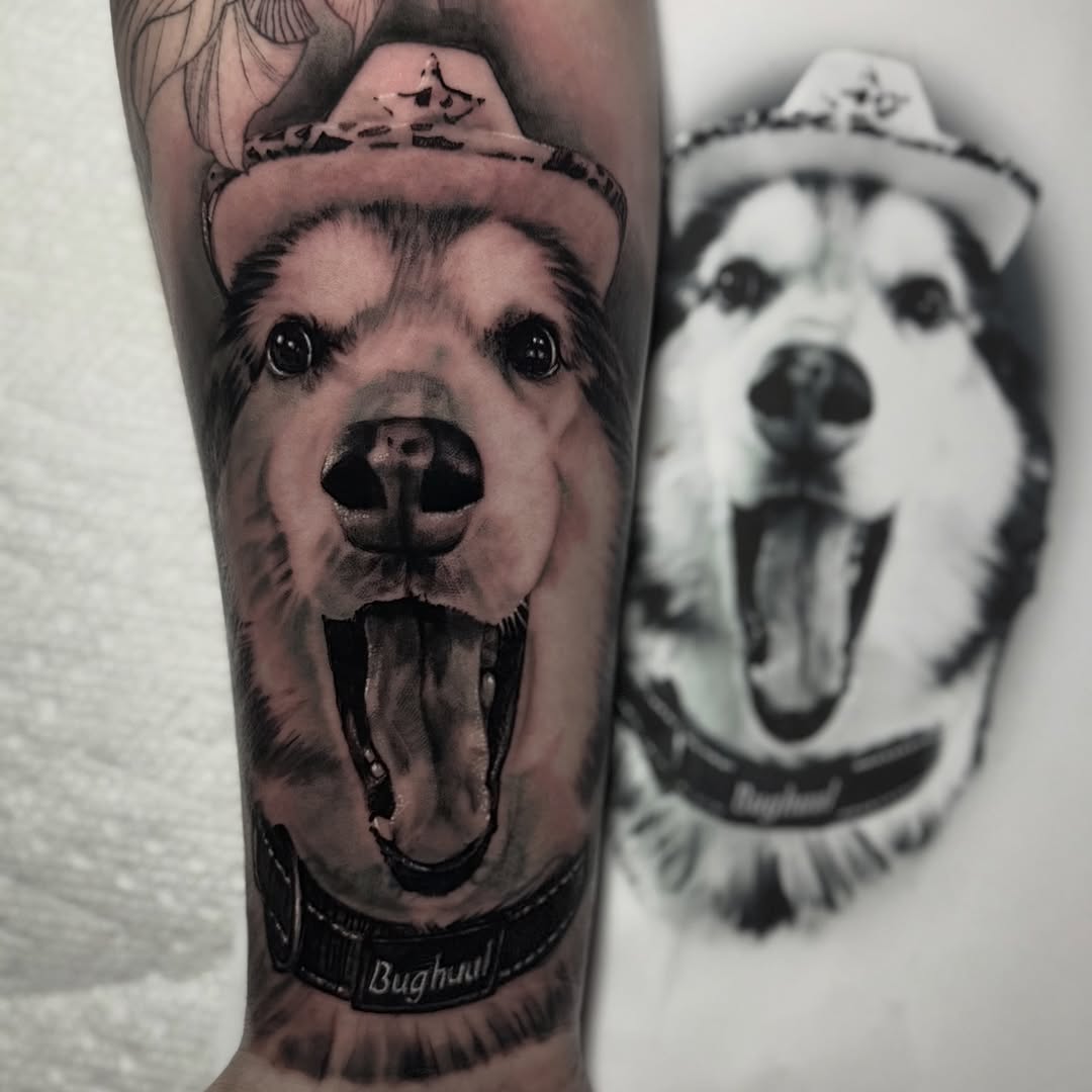 Animal, 팬서, 재규어, 표범