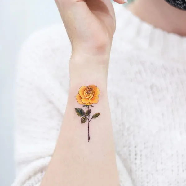 Flower, Rose, 양귀비, 수선화