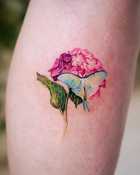 Flower, 수국