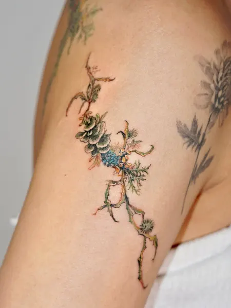 Flower, Rose