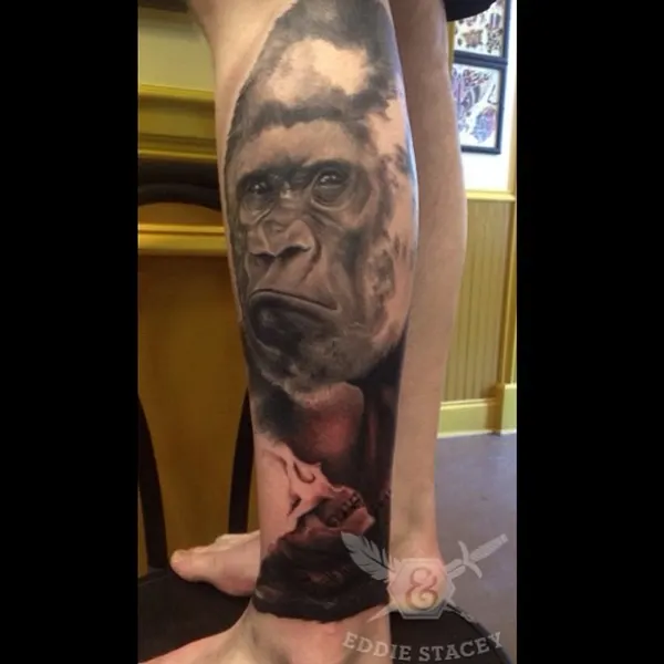 Tiger, Animal