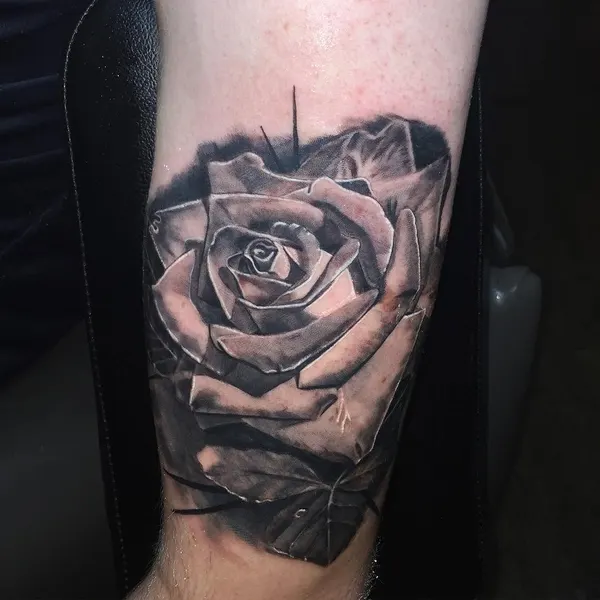 Flower, Rose