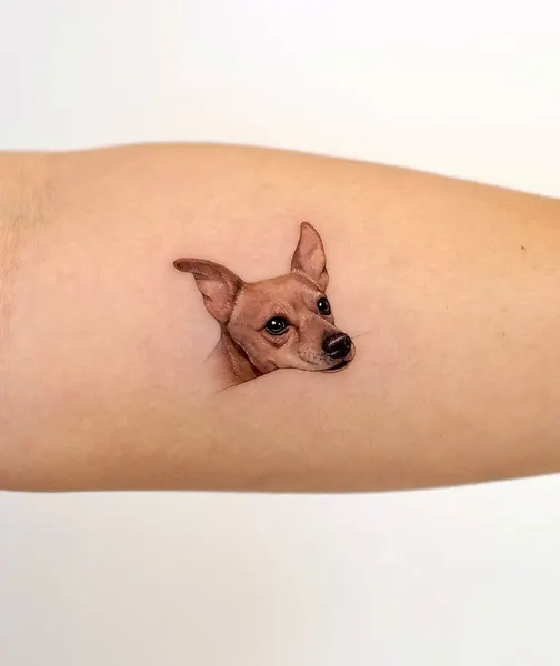 Mini, 반려동물, 초소형 타투