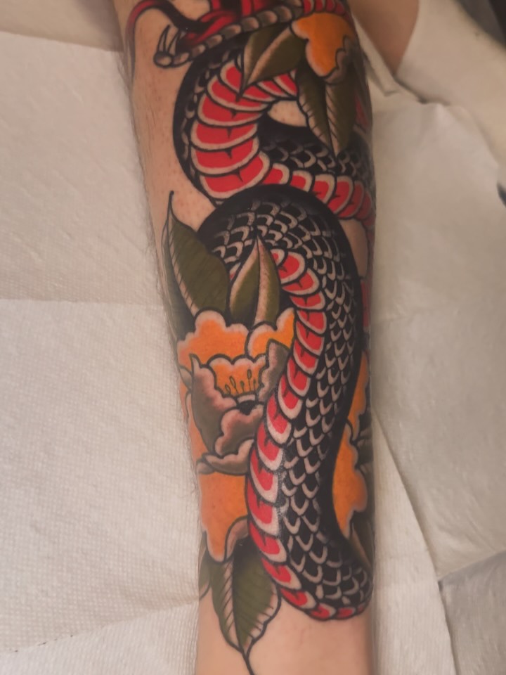 Dragon, 일본 용, 잉어, 한국 용