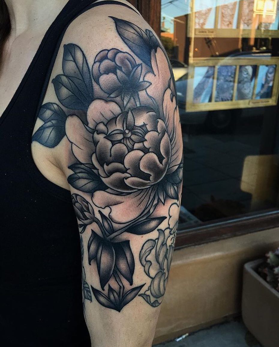 Flower, Rose, Nature
