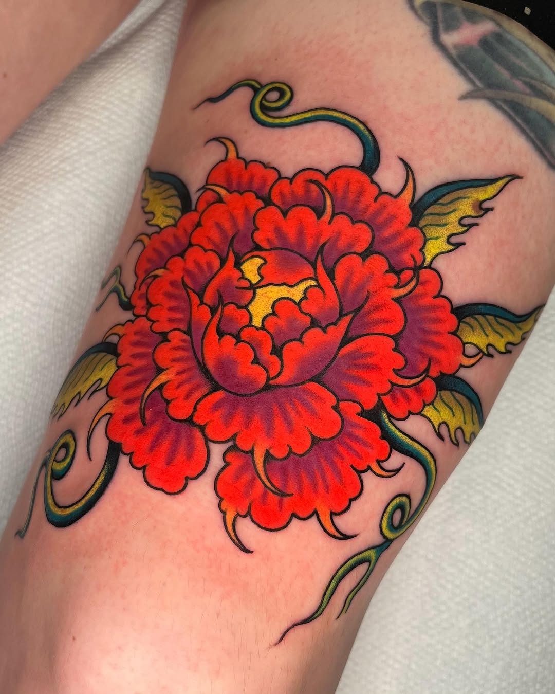 Flower, Rose
