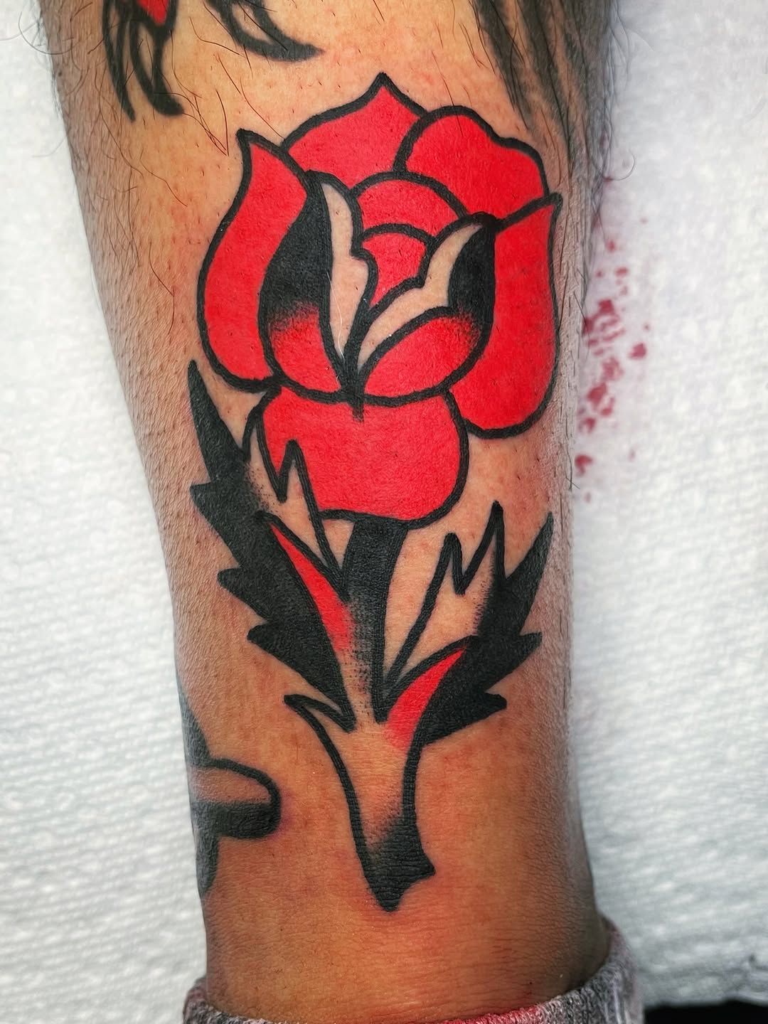 darius_cappelli