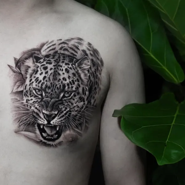 Animal, 표범, 재규어, 치타