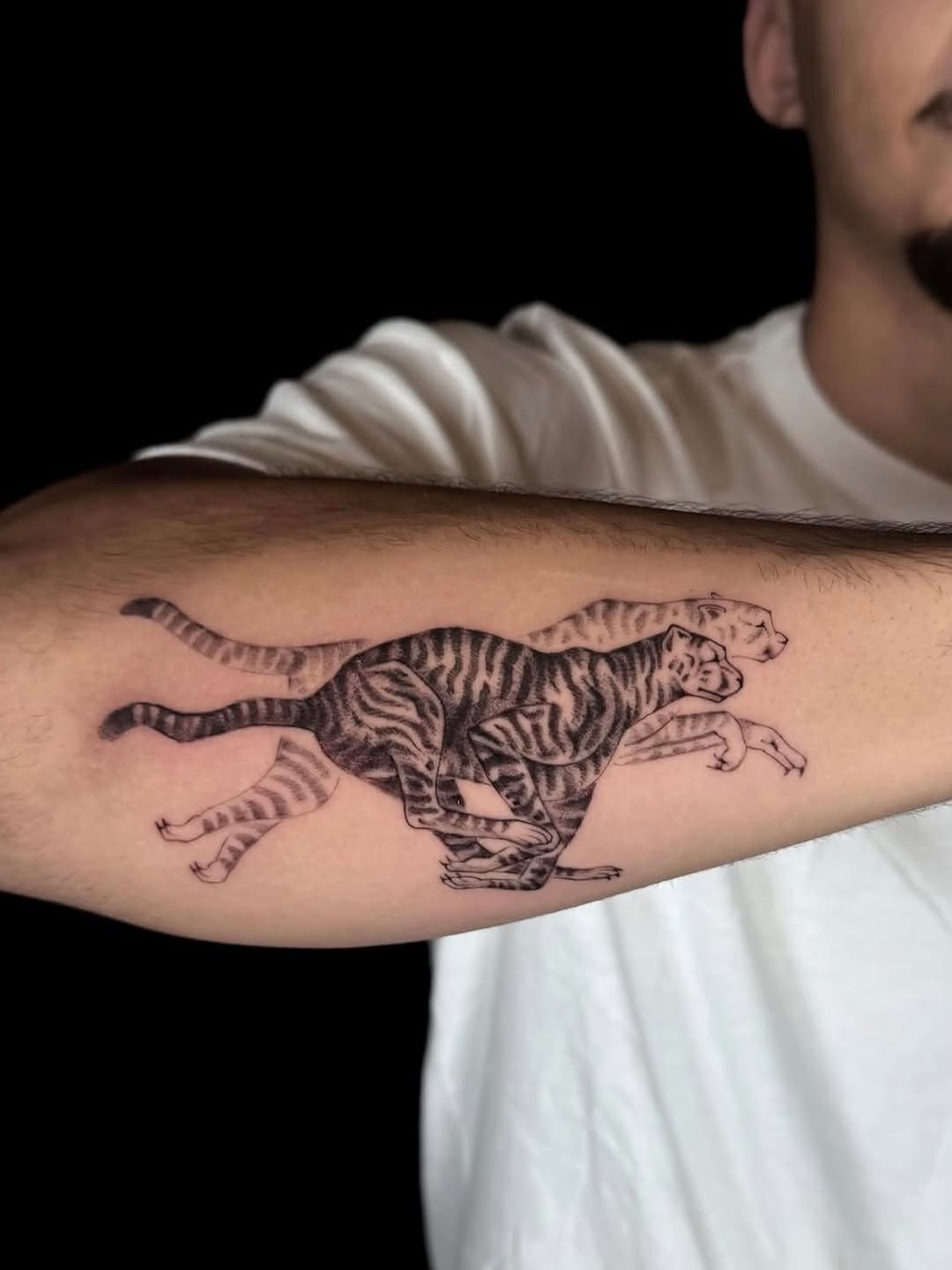 Tiger, 팬서
