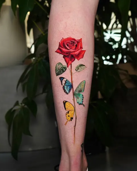 Flower, Animal, Nature, Rose