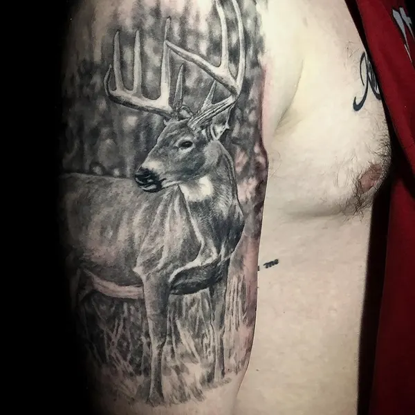 Animal