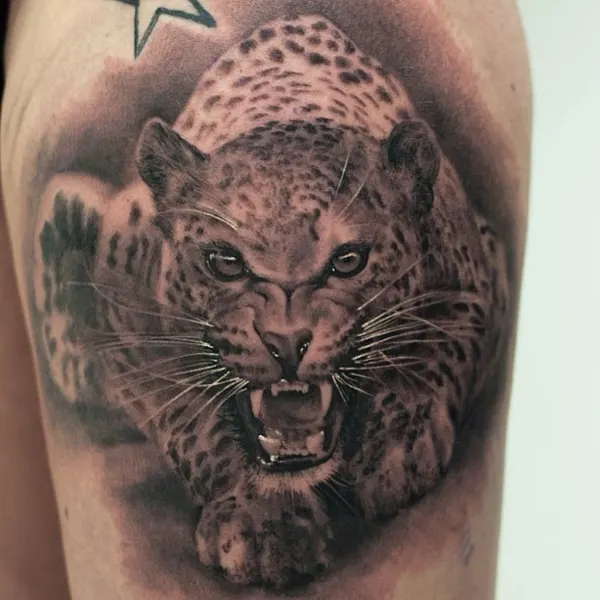 Animal, 치타, 표범, 재규어