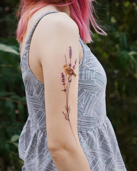 Flower, Rose, Animal
