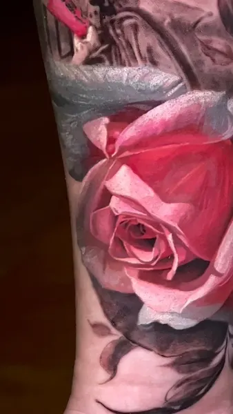 Flower, Rose