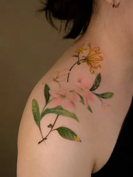 백합, Flower, 수선화, 탄생화, 오너멘탈, 꽃 배경, 야생화
