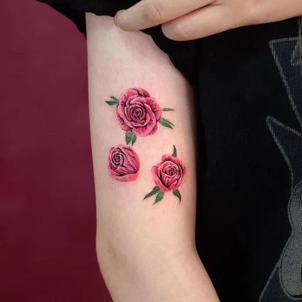 Flower, Rose
