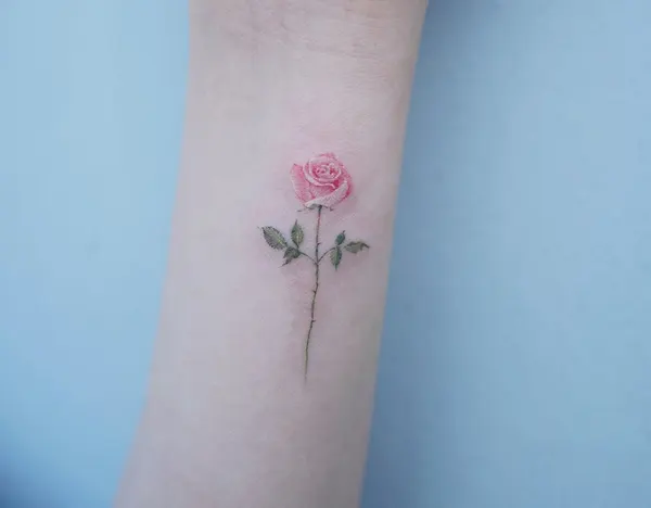 Rose, Flower